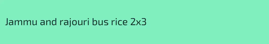 Jammu and rajouri bus rice 2x3